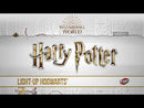 Make Your Own Light Up Hogwarts™